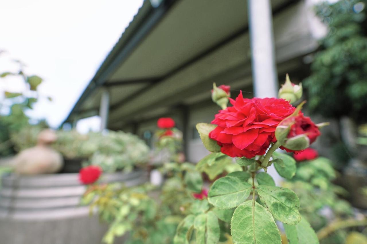 Taitung City-Cottage B&B Exterior foto